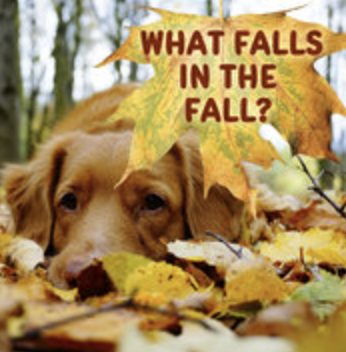 uniteの絵本の表紙